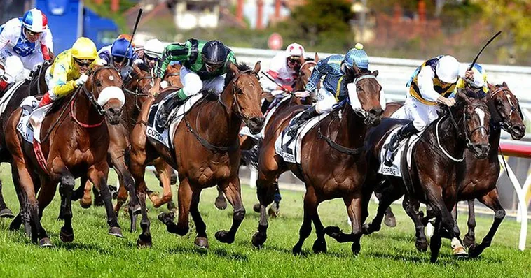 Khám Phá Cá Cược Đua Ngựa FB88 Cùng Chuyên Gia Đẳng Cấp 2 Khám Phá Cá Cược Đua Ngựa FB88 Cùng Chuyên Gia Đẳng Cấp